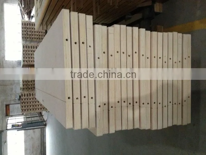 MDF Wooden Door