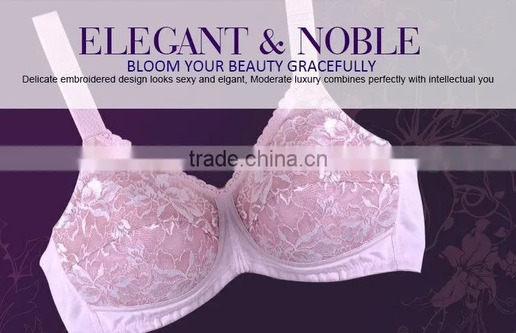 Customized Moder Stylish Latest Fashion Transparent Sexy Ladies' Model Bra