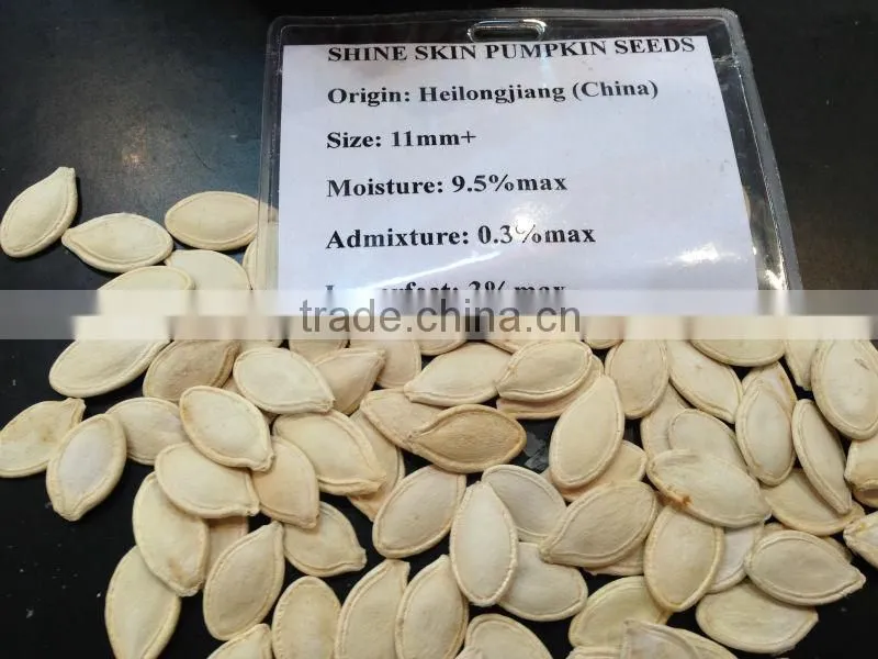 organic pumpkin seeds in shell manufacturer