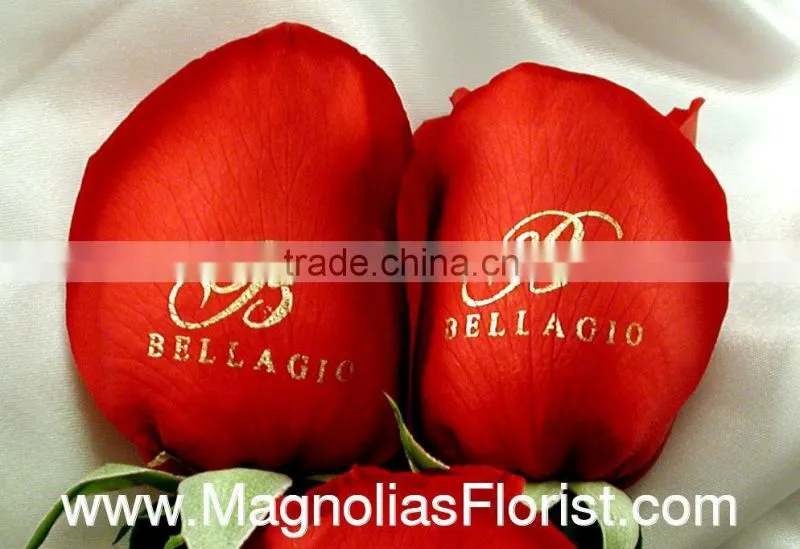 digital red rose printer,printe white ink on flowers,beautiful flower printer