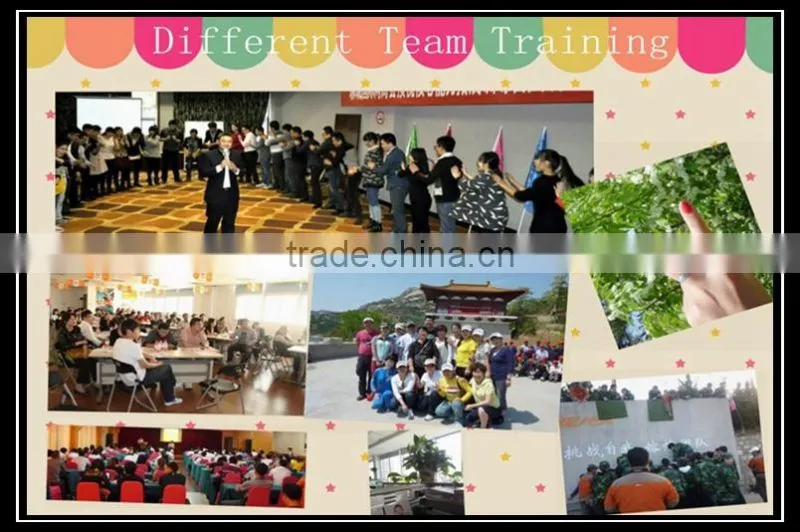 China Shandong high quality pp woven mesh ventilated breathable FIBC bulk big bag for potato