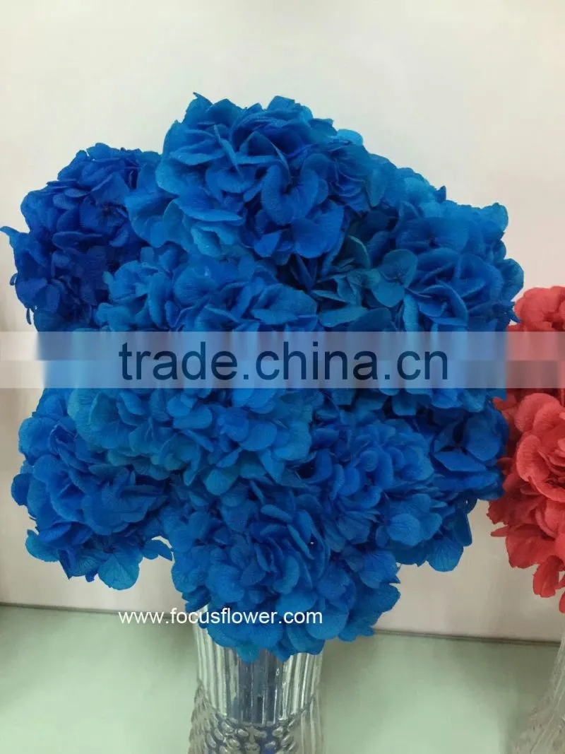 High Quality Fresh Preserved Flower Blue White Hydrangea Bouquet For Christmas