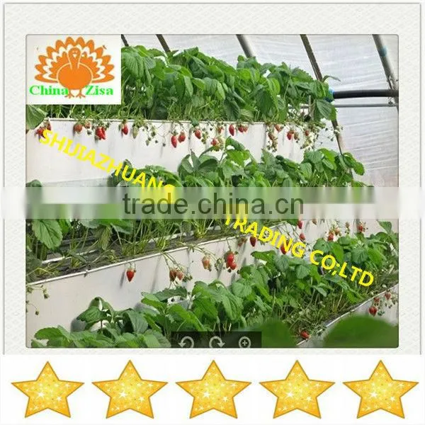 HDPE greenhouse growing tray and grow box