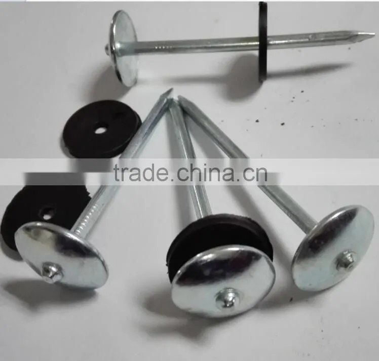 Galvanized Roofing NAILS ( 2 -1/2" x 9mm ) with plastic washer Boa sorte Trade ssurance sinolink