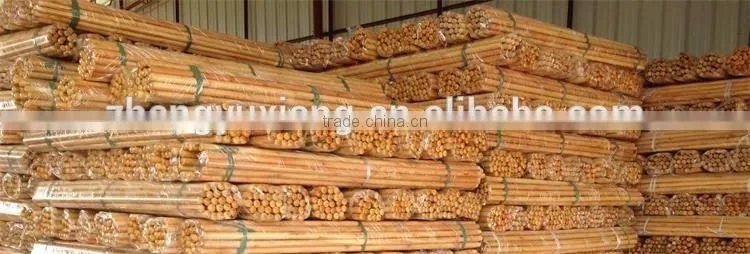 Natural wooden lacquered and threaded mop handle