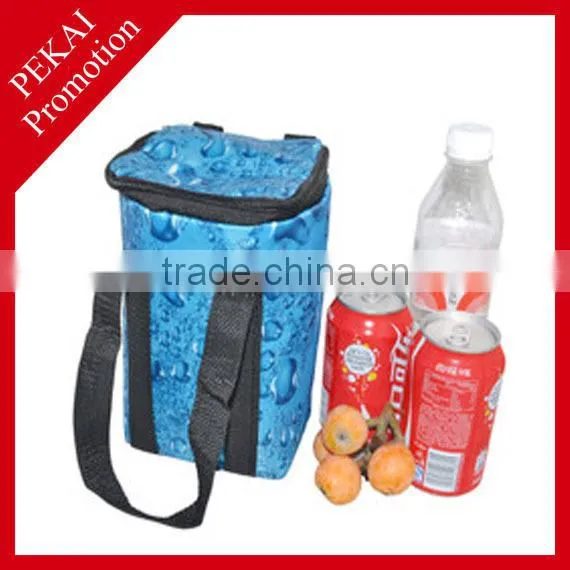Promotional cheap portable cooler bagbag