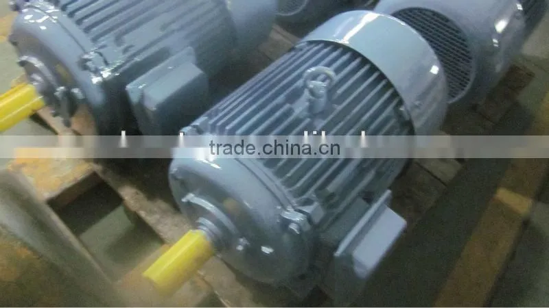 Y-SERIES THREE PHASE ASYNCHRONOUS MOTOR