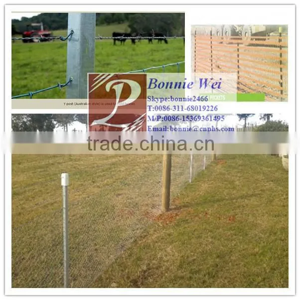 Australia Black Steel Star picket (factory & trader)