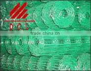 Galvanized Welded Wire Mesh