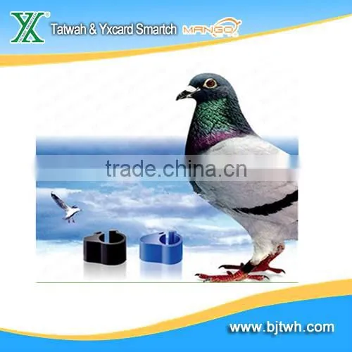 high quality rfid animal tracking tag For Identification