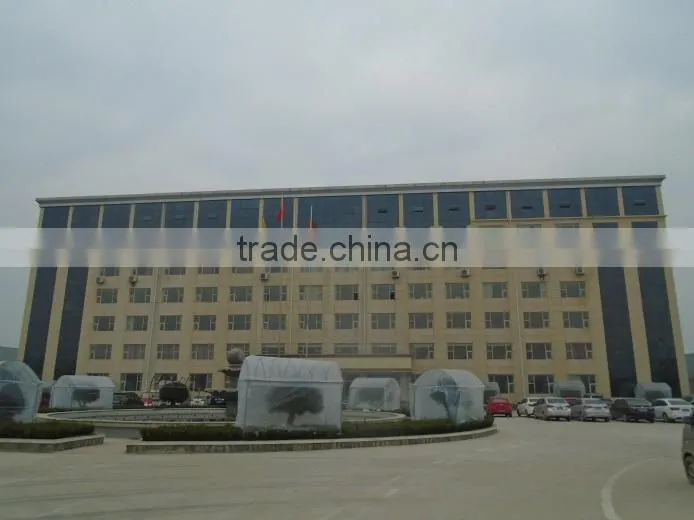 Dongyue Machinery Group Co., Ltd. company overview - view 3