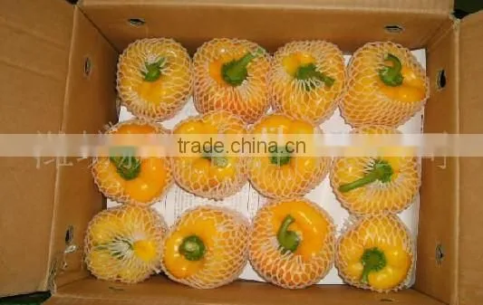 orange red capsicum yellow capsicum