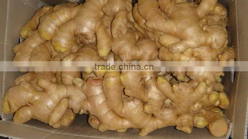 Fresh mature ginger