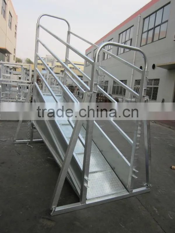 Galvanized handling Cattle loading ramp