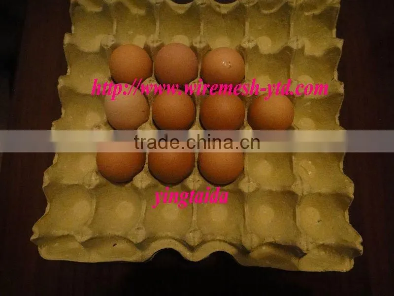 egg tray india