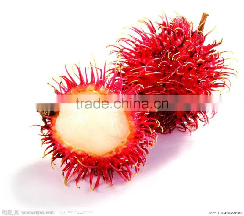 kieserite - Magnesium sulphate fertilizer for Rambutan MgO23%MIN China