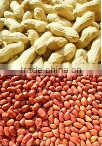 hot selling peanut skinning machine