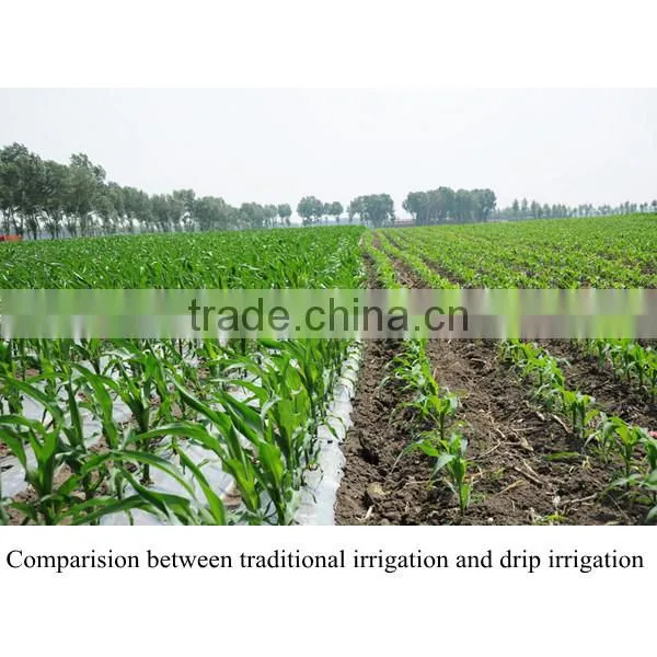 Garden Drip Irrigation System