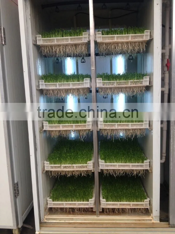 Best selling Factory Directly Bud Seeding Wheat Growing Machine For Wheat Bud Growing