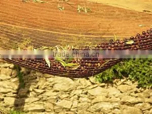 farm olive net