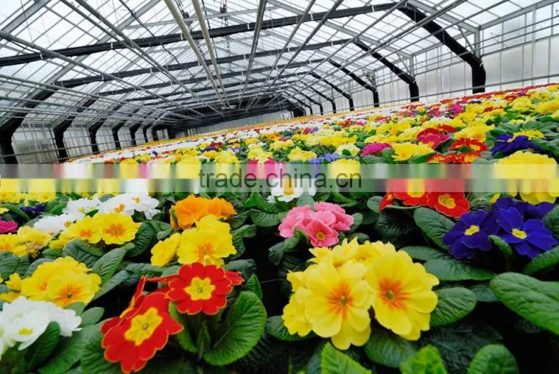 Automatic constant temperature ecological greenhouse steel structure