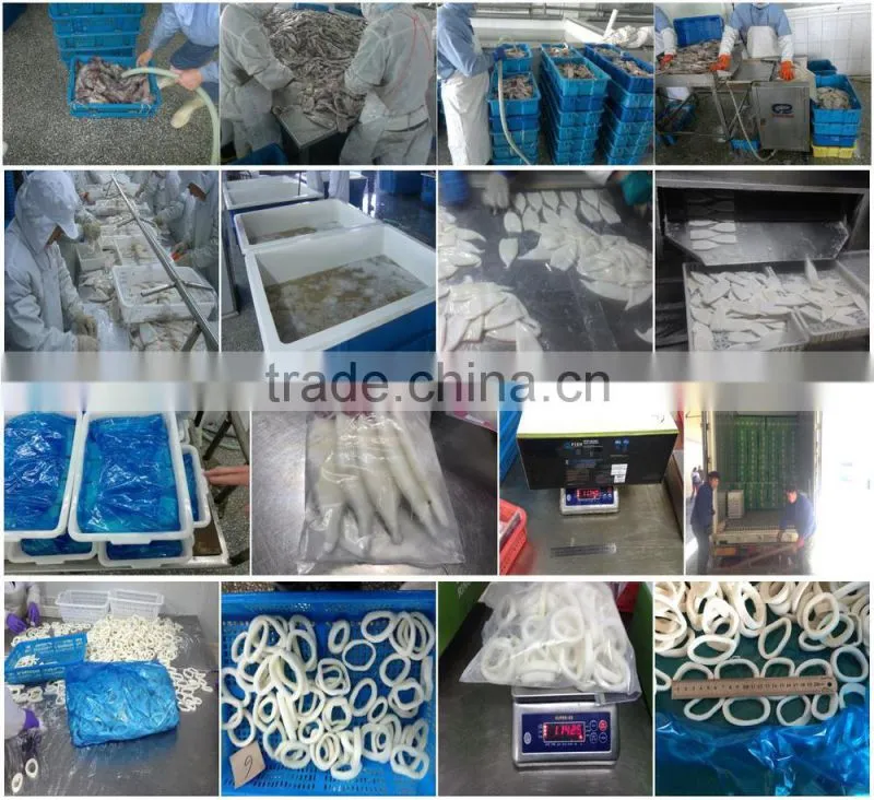 Frozen IQF Pacific squid rings