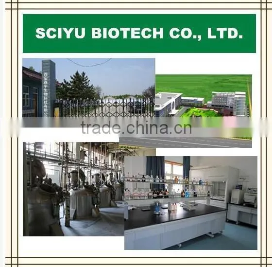 Sciyu supply 50% 98% polygonum cuspidatum root extract powder