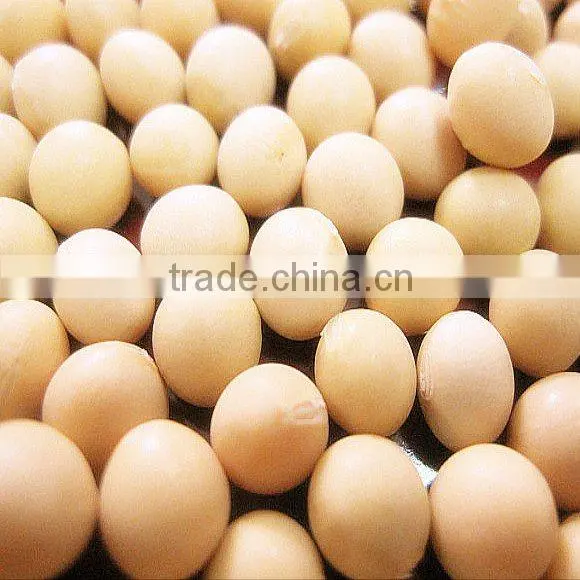 organic soybean
