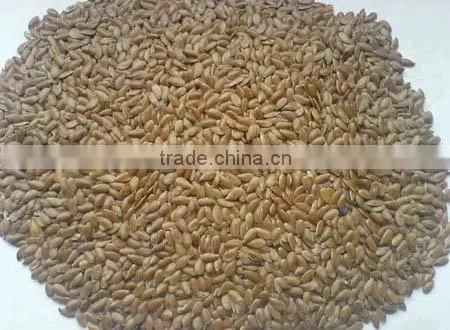 China organic flax seed/linseed