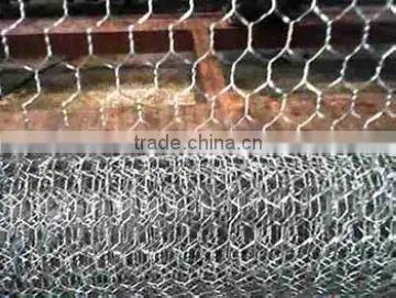 galvanized hexagonal wire mesh/netting