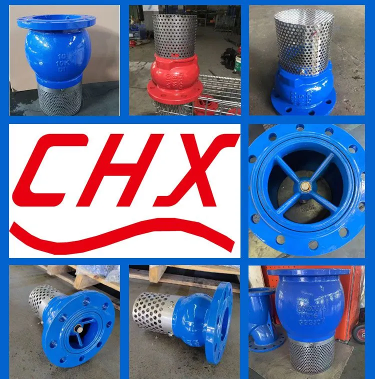 JIS/ANSI/DIN Foot Valve Cast Iron GGG50 Ductile Iron Flange Stainless Steel Filter Strainer Water Pump