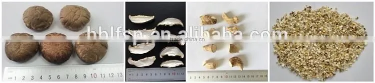 Wholesale Factory Prices for Shiitake 1KG