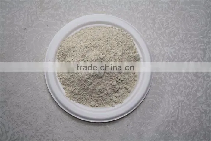 Dehydrated garlic powder/granule/ flakes