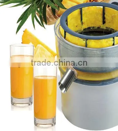 300W spin extration personal blender