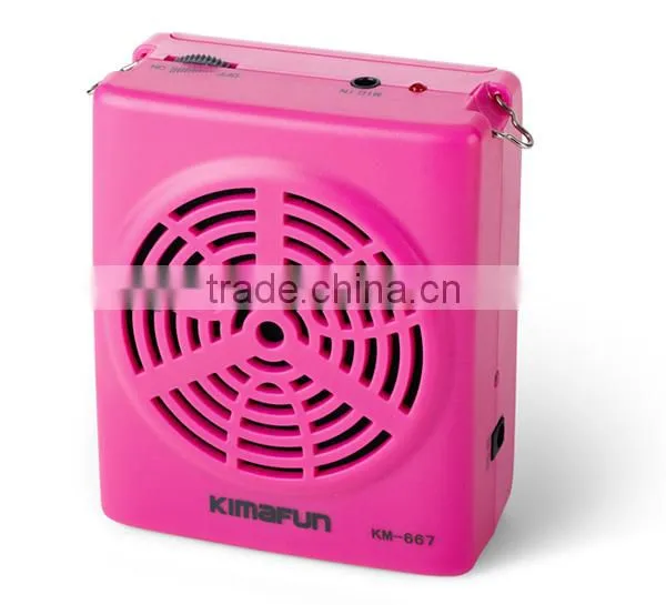 Cute Mini Professional Audio Amplifier 10W K-667