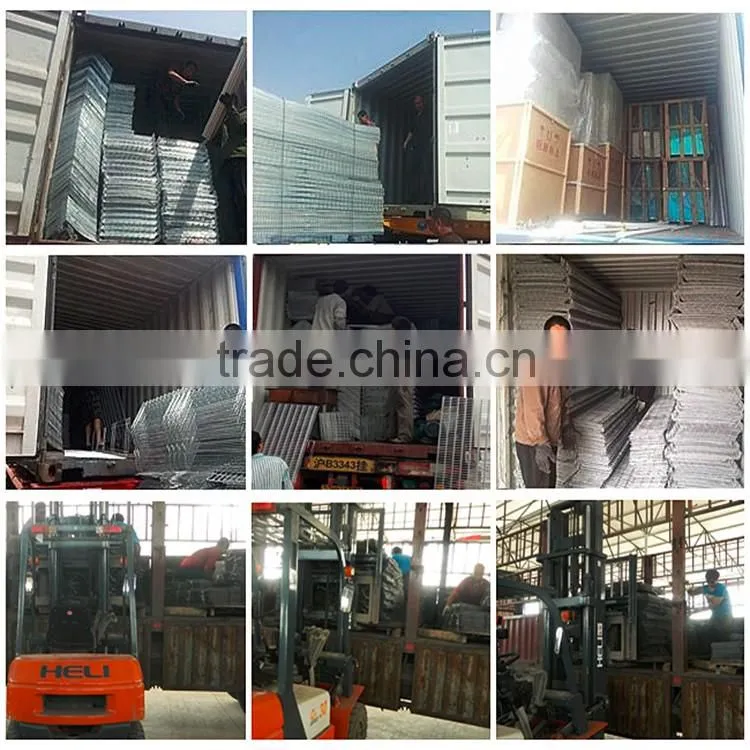 chicken and poultry farming use type poultry farming equipment