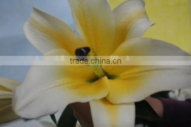 Most popular factory direct yellow fresh lilies