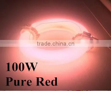 100w Hydroponic Growing Plant Induction Grow Lamp