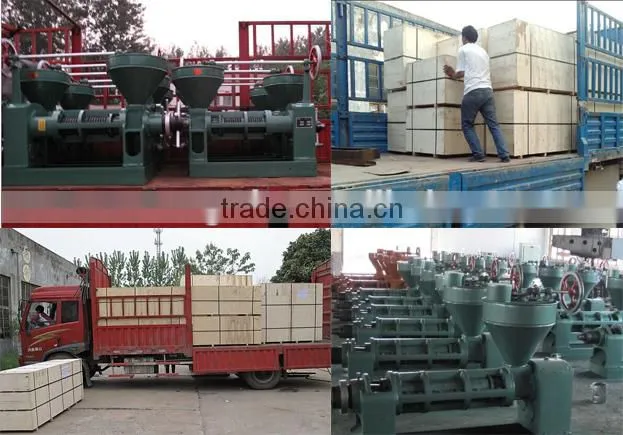 High oil output walnut oil press machine from China with finest service