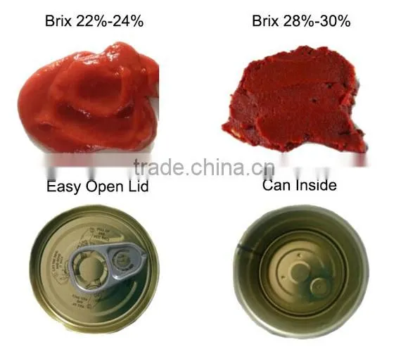 Fresh vegetables canned tomato paste concentrated 28-30%,tomato sauce