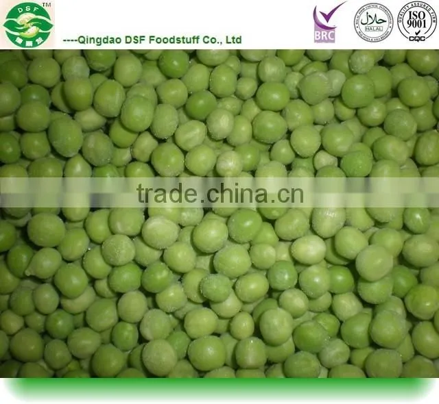 good sale and best quality IQF frozen fresh green peas
