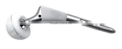 Comentless Stem Total Hip Prothesis(Plastic Cap) (orthopaedic implant)