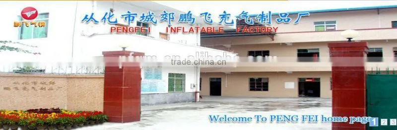 New Design Inflatable Water Slide and Pool with Cannon-PF-IE507 Water Slide Park