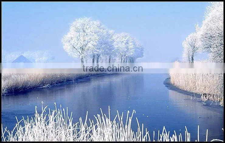 sea freight from China to Ukraine