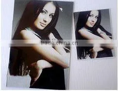 pvc/plastic usb card printing machine