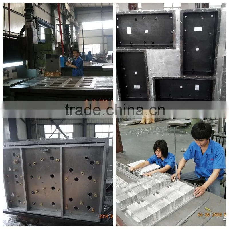 Vegetable box mold / Fruit box mold / EPS Mold