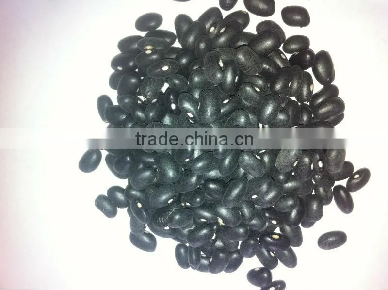 black bean geen inside