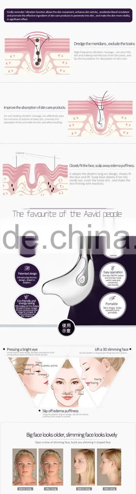 Best Selling Products Face Massage with Dolphin Shape Tow Work Modes