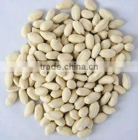 supply all kinds of peanut and peanut product