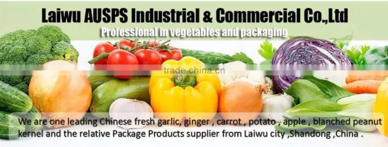 Plastic PP HDPE Woven Leno Raschel Mesh Bag For potato, Onion, fruit